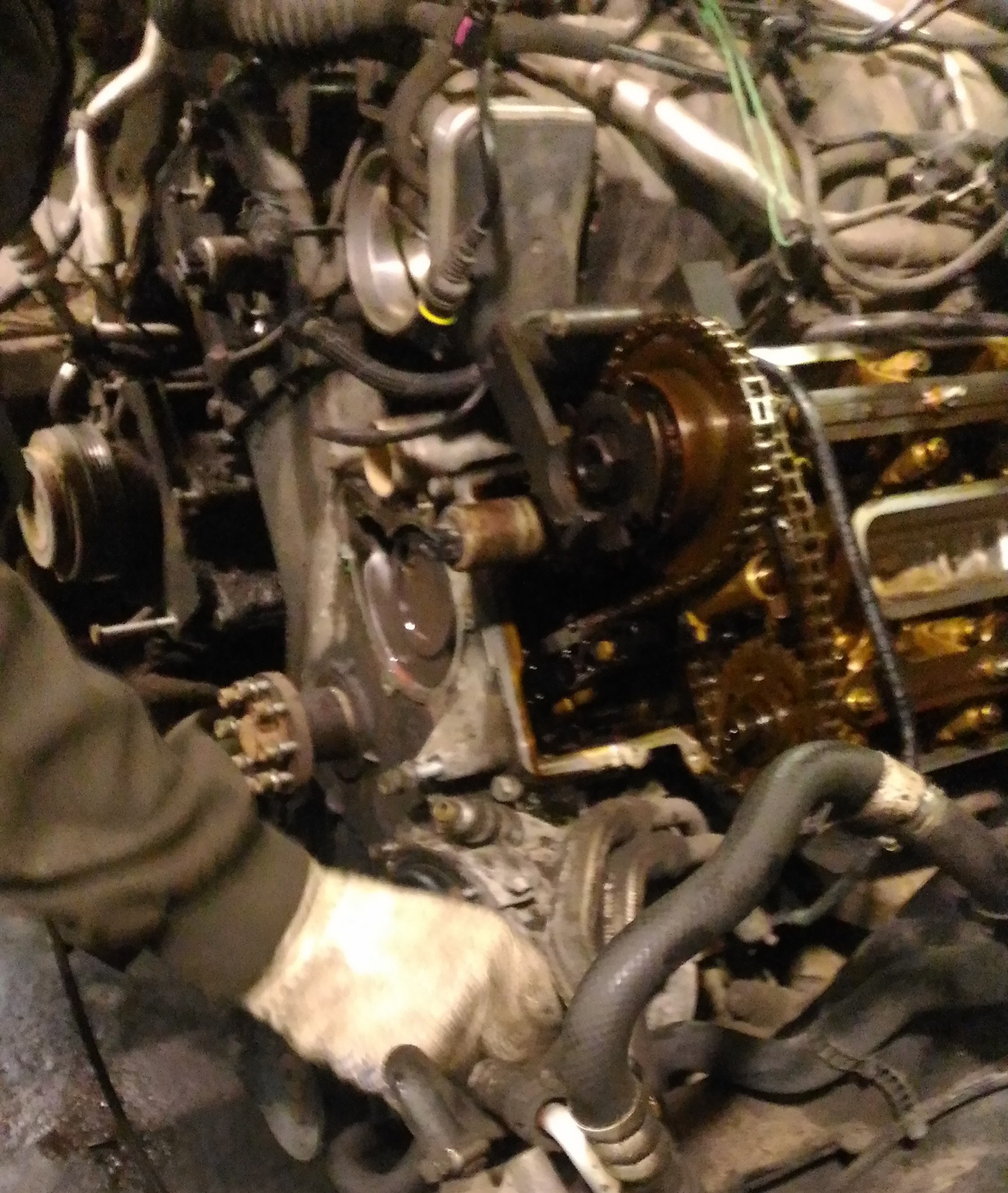 Сборка привода ГРМ BMW M52B25: механик укладывает патрубки — автосервис автотело.рф